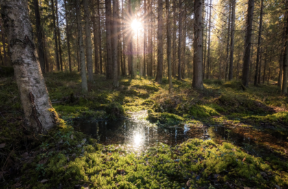 Easter holidays office opening hours Hacklin Logistics project forwarder Finland