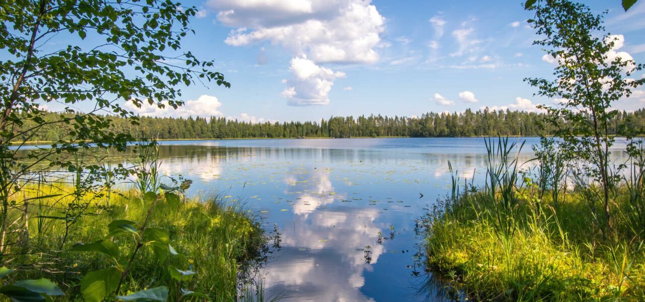 Hacklin happy midsummer forwarding service Finland
