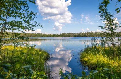 Hacklin happy midsummer forwarding service Finland