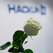 international womens day hacklin logistics