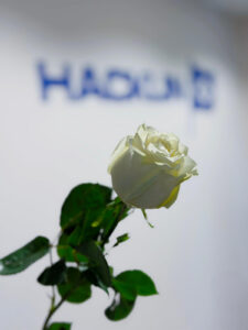 international womens day hacklin logistics