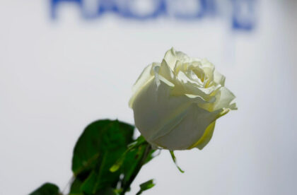 international womens day hacklin logistics