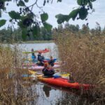 Kayakers navigating through reeds and coastal waterways while collecting litter during a Baltic Sea Day environmental clean-up event with CMA CGM and partners.